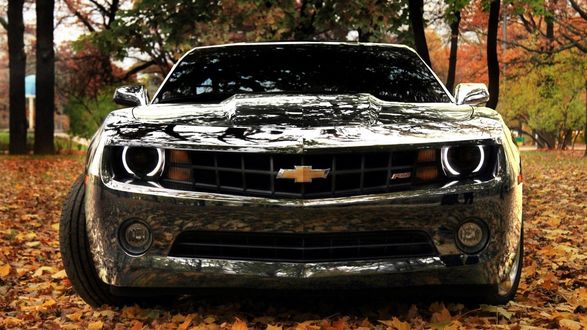 Обои на рабочий стол Серебристый Chevrolet Camaro в осеннем парке