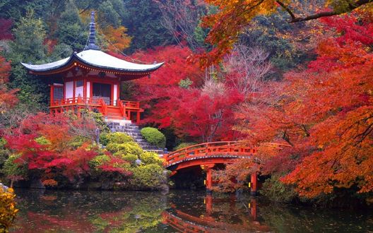 Обои на рабочий стол Храм Daygo-ji на берегу водоема на фоне осенних деревьев Kyoto / Киото, Japan / Япония