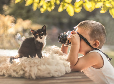 Обои на рабочий стол Маленький мальчик фотографирует котенка