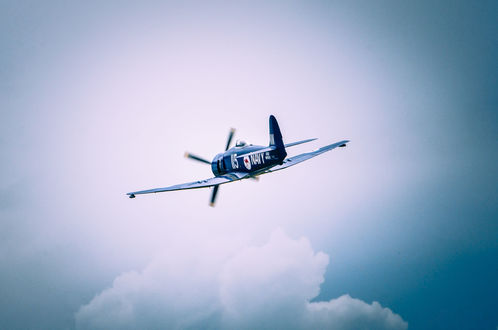 Обои на рабочий стол Самолет Hawker Sea Fury ВМФ Австралии в полете