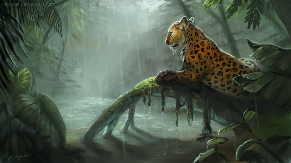 Обои для рабочего стола Леопард в джунглях под дождем