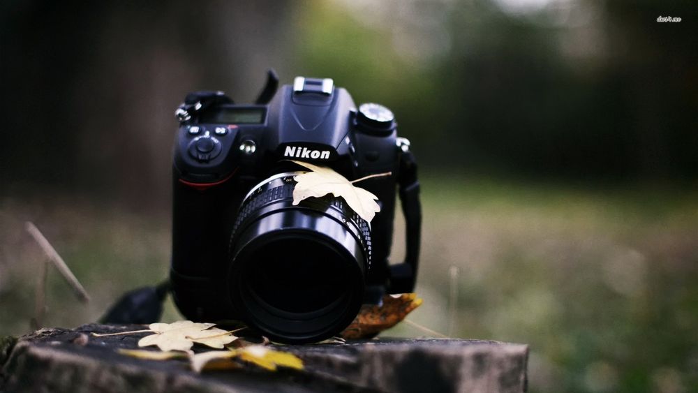 Обои для рабочего стола Фотоаппарат Nikon на пне с осенними листьями