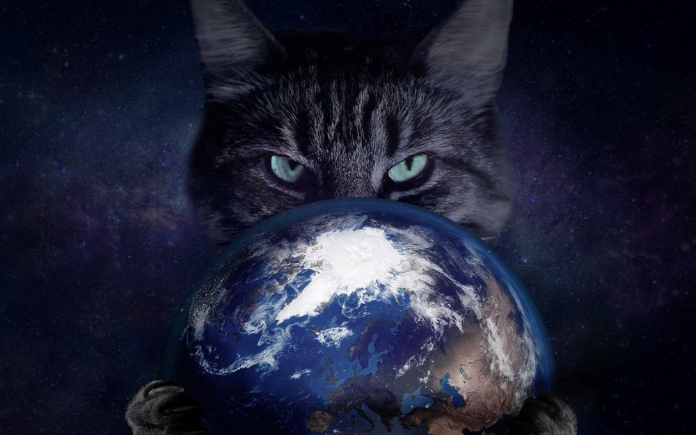 Обои для рабочего стола Полосатый кот держит в лапах планету