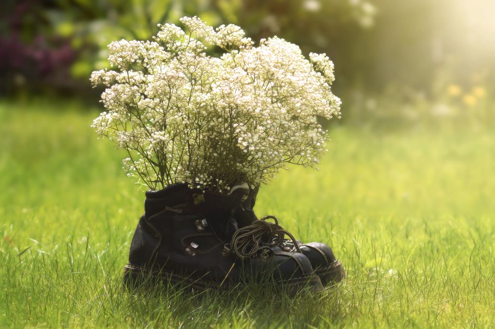 Обои для рабочего стола Пара кожаных ботинок с букетом белых мелких цветочков стоит на зеленой траве
