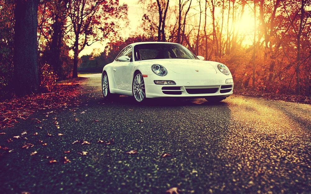 Обои для рабочего стола Белая Porshe стоит на дороге в осеннем парке