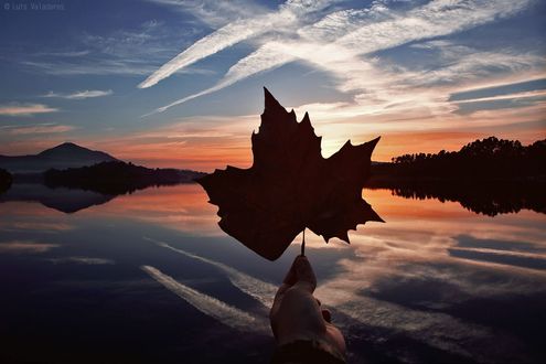 Обои на рабочий стол В руке девушки осенний лист, фотограф Luis Valadares
