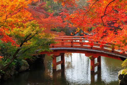 Обои на рабочий стол Красный мост через речку в осеннем парке в Киото / Kyoto, Япония / Japan