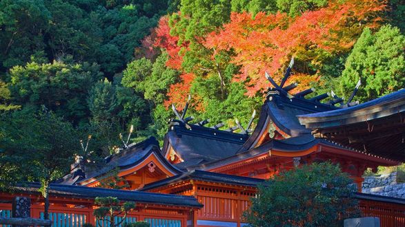 Обои на рабочий стол Крыши японского храма на фоне осенних деревьев, Vakaiama, Japan