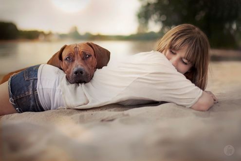 Обои на рабочий стол Пес лежит на спине девушки, фотограф Hannah Meinhardt