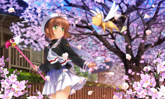 Обои на рабочий стол Сакура Киномото / Sakura Kinomoto и летающий котенок среди цветущей сакуры из аниме Сакура - собирательница карт / Card captor sakura