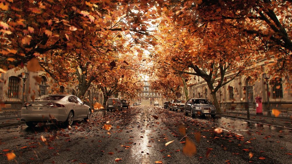 Обои для рабочего стола Мокрая улица с авто, покрываемая осенними листьями, летящими с деревьев, by Wai Kin Lam