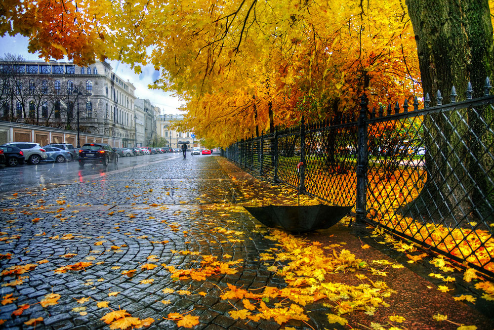 Обои для рабочего стола Осень, Екатерининский сад, Санкт-Петербург, Россия, фотограф Гордеев Эдуард
