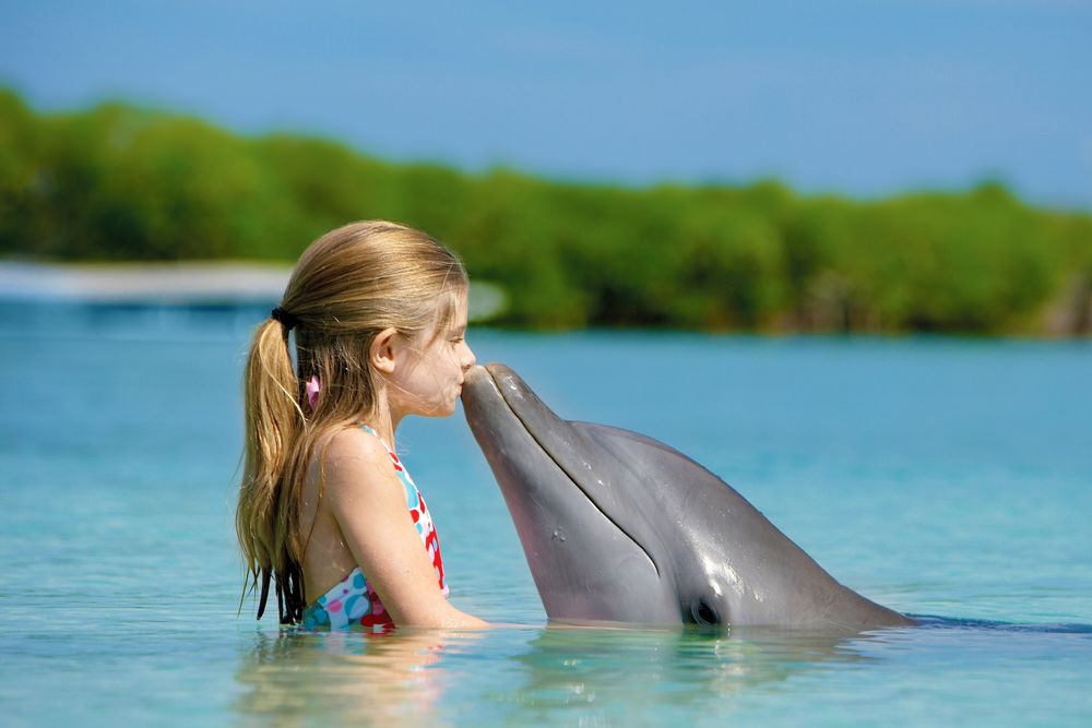 Обои для рабочего стола Девочка целует дельфина, стоя в воде