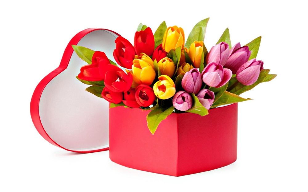 Обои для рабочего стола Разноцветные тюльпаны в коробке в форме сердечка на белом фоне