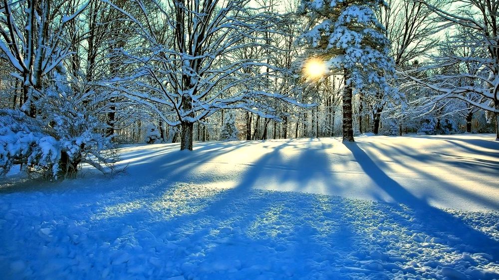 Обои для рабочего стола Лучи солнца пробиваются сквозь красивый зимний лес в снегу