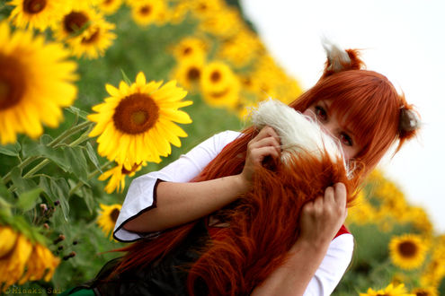 Обои на рабочий стол Косплей Хоро / Horo из аниме Волчица и Пряности / Spice and Wolf, by Firss