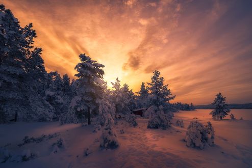 Обои на рабочий стол Утренний свет в зимний период Ringerike, Norway / Ringerike, Норвегия, фотограф Ole Henrik Skjelstad
