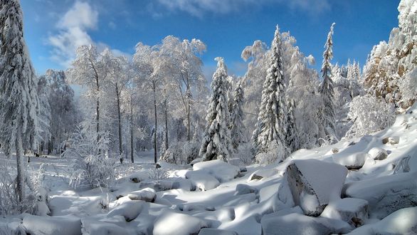 Обои на рабочий стол Белоснежная холодная зима, фотограф Клековкин Алексей