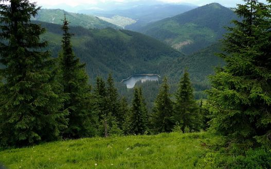 Обои на рабочий стол Еловые леса и озеро в восточных Карпатах, Украина