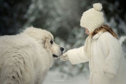 Обои на рабочий стол Девочка со своим псом, фотограф Viktoria Haack