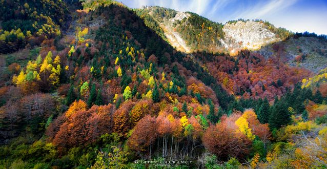 Обои на рабочий стол Цвет осени в горах, фотограф Didier laurancy