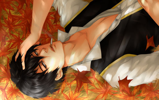 Обои на рабочий стол Hijikata Toushirou / Хиджиката Тоширо с сигаретой лежит на кленовых листьях из аниме Гинтама / Gintama
