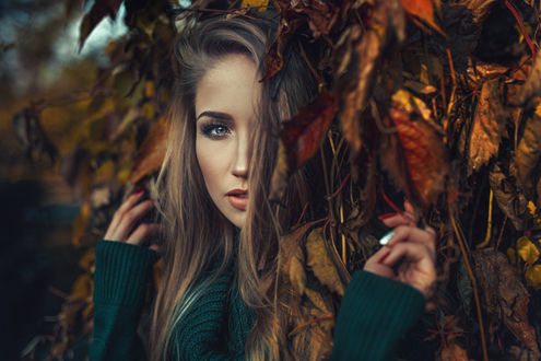 Обои на рабочий стол Девушка стоит за листвой, фотограф Damian Pi&;rko