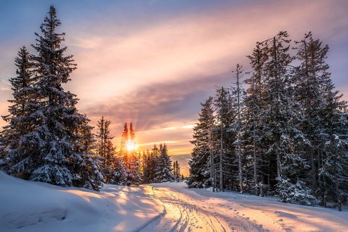 Обои на рабочий стол Зимняя дорога освещена солнцем, фотограф Jоrn Allan Pedersen