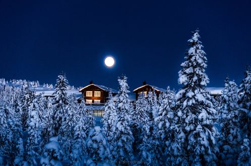 Обои на рабочий стол Зимнее небо с луной над домиками в лесу, фотограф Jоrn Allan Pedersen