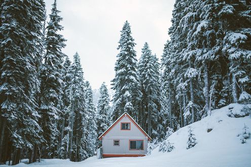Обои на рабочий стол Домик в зимнем лесу, фотограф Dylan Furst