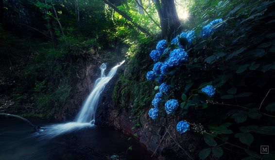 Обои на рабочий стол Нижний водопад Cuasso, фотограф Mirko Migliorati