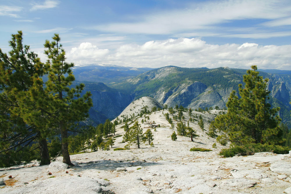 Обои для рабочего стола Панорама на горы и леса Йосемитского национального парка, штат Калифорния, США / Yosemite National Park, California, USA