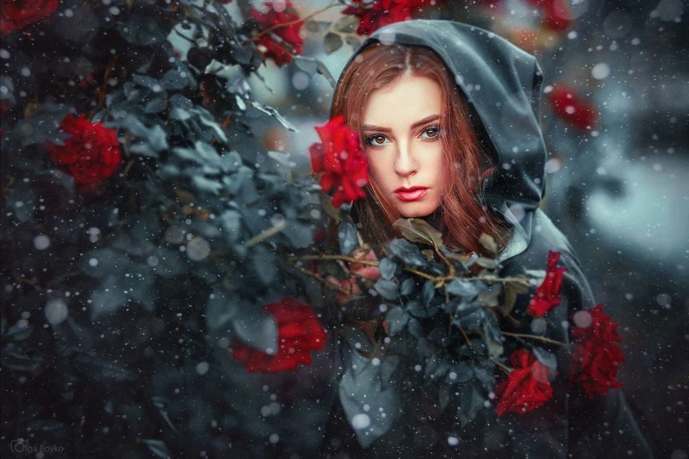 Обои для рабочего стола Девушка в плаще стоит у куста красных роз, фотограф Olga Boyko