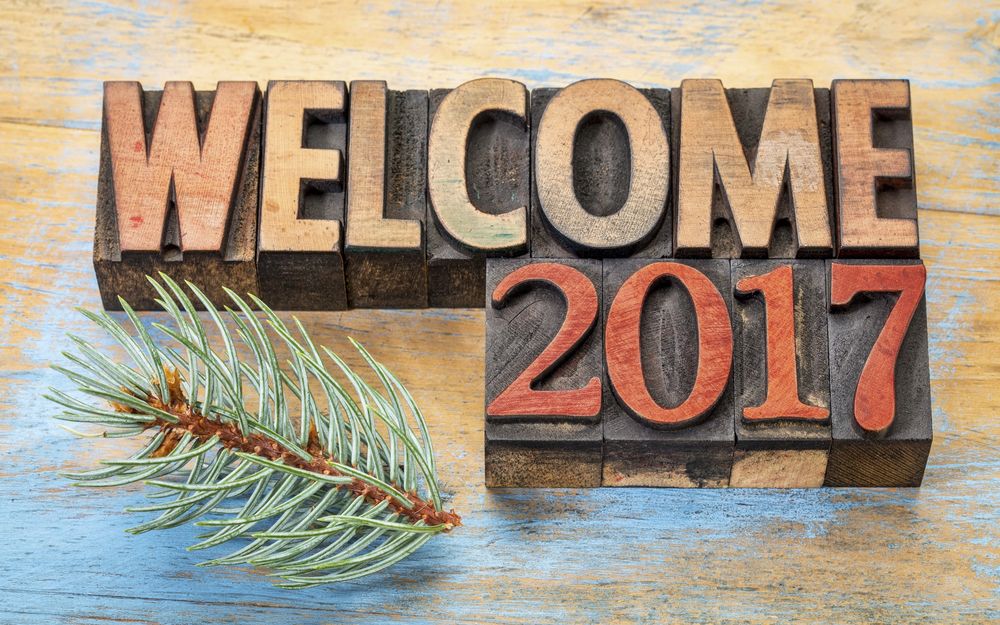 Обои для рабочего стола Надпись Welcome 2017 / Добро пожаловать в 2017 и еловая веточка