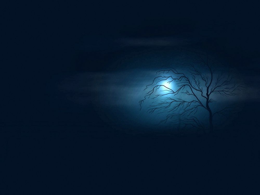 Обои для рабочего стола Сухое дерево на фоне ночного неба с пробивающимся сквозь туман светом луны