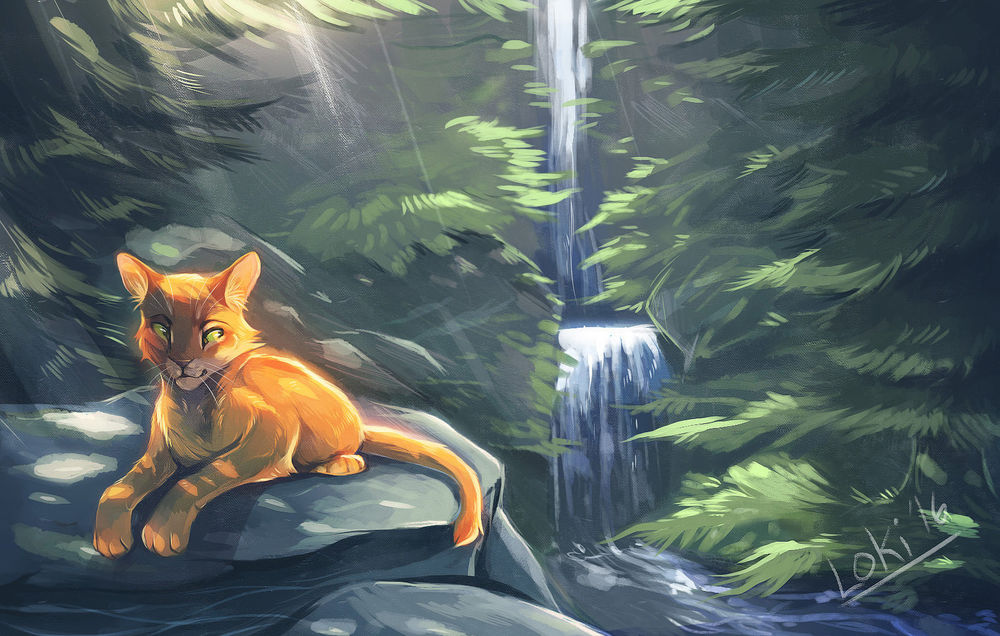 Обои для рабочего стола Рыжий кот лежит на камне у водопада, by LokiDrawz