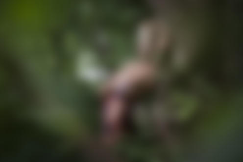Обои на рабочий стол Девушка стоит у дерева, фотограф Константин Леляк