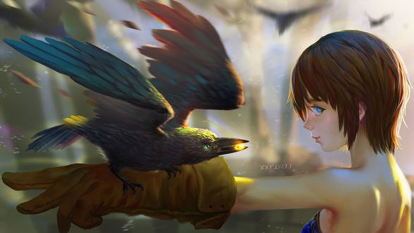Обои на рабочий стол Девушка с вороном на руке, by Rong Xiong