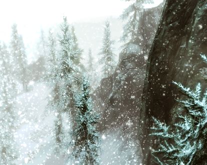 Обои на рабочий стол Ели под падающим снегом, материк Тамриэль, арт по игре Skyrim / Скайрим