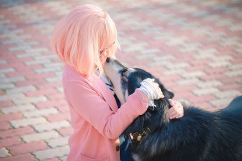 Обои на рабочий стол Косплей Мирай Курияма / Mirai Kuriyama гладит собаку из аниме Kyoukai no Kanata / За гранью