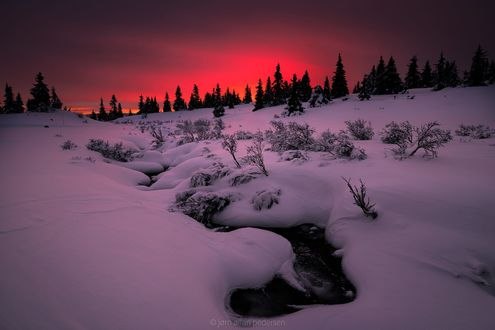Обои на рабочий стол Холодное розовое утро, фотограф Jоrn Allan Pedersen