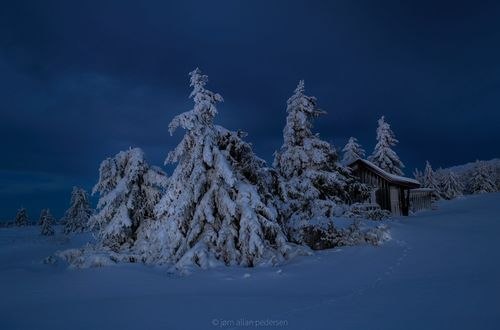 Обои на рабочий стол Домик за деревьями в снегу, фотограф Jоrn Allan Pedersen