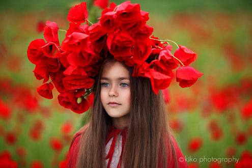 Обои на рабочий стол Девочка в венке из красных маков, KiKo Photography