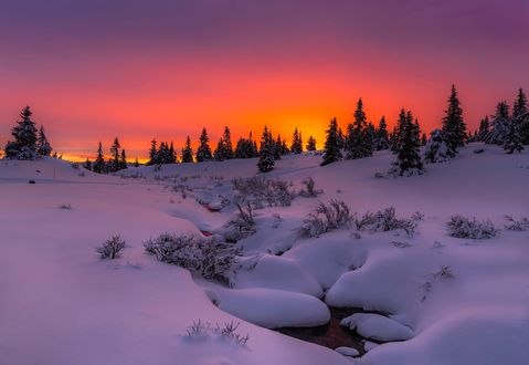 Обои на рабочий стол Зимний пейзаж с розовым закатом, ву J&;rn Allan Pedersen