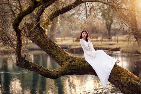 Обои на рабочий стол Девушка в белом платье сидит на дереве у озера, фотограф Alessandro Di Cicco