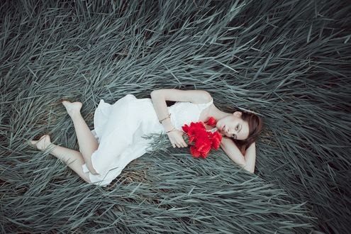 Обои на рабочий стол Девушка с красными маками лежит на траве, by Maryna Khomenko