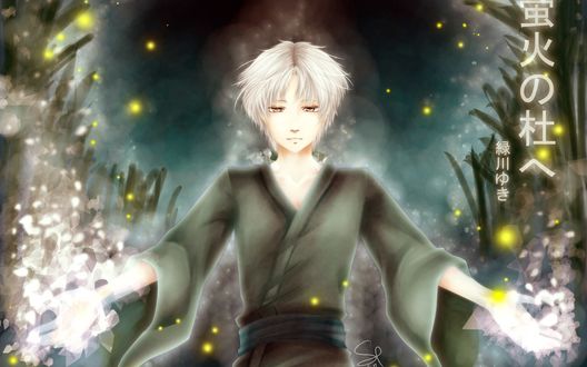 Обои на рабочий стол Гин / Gin из аниме В лес, где мерцают светлячки / Hotarubi no Mori e