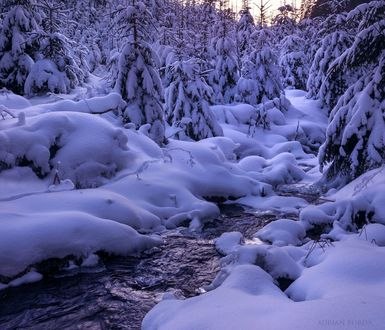 Обои на рабочий стол Зимний пейзаж вблизи Bucin, Romania / Bucin, Румыния, фотограф Adrian Borda