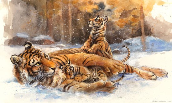 Обои на рабочий стол Тигрица с тигрятами на снегу, by kenket
