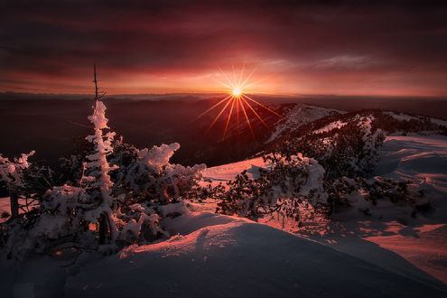 Обои на рабочий стол Зимний закат в Mont Ventoux, Provence-Alpes-C&;te dAzur, France / Ванту, Прованс-Альпы-Лазурный берег, Франция, фотограф Julien Delaval